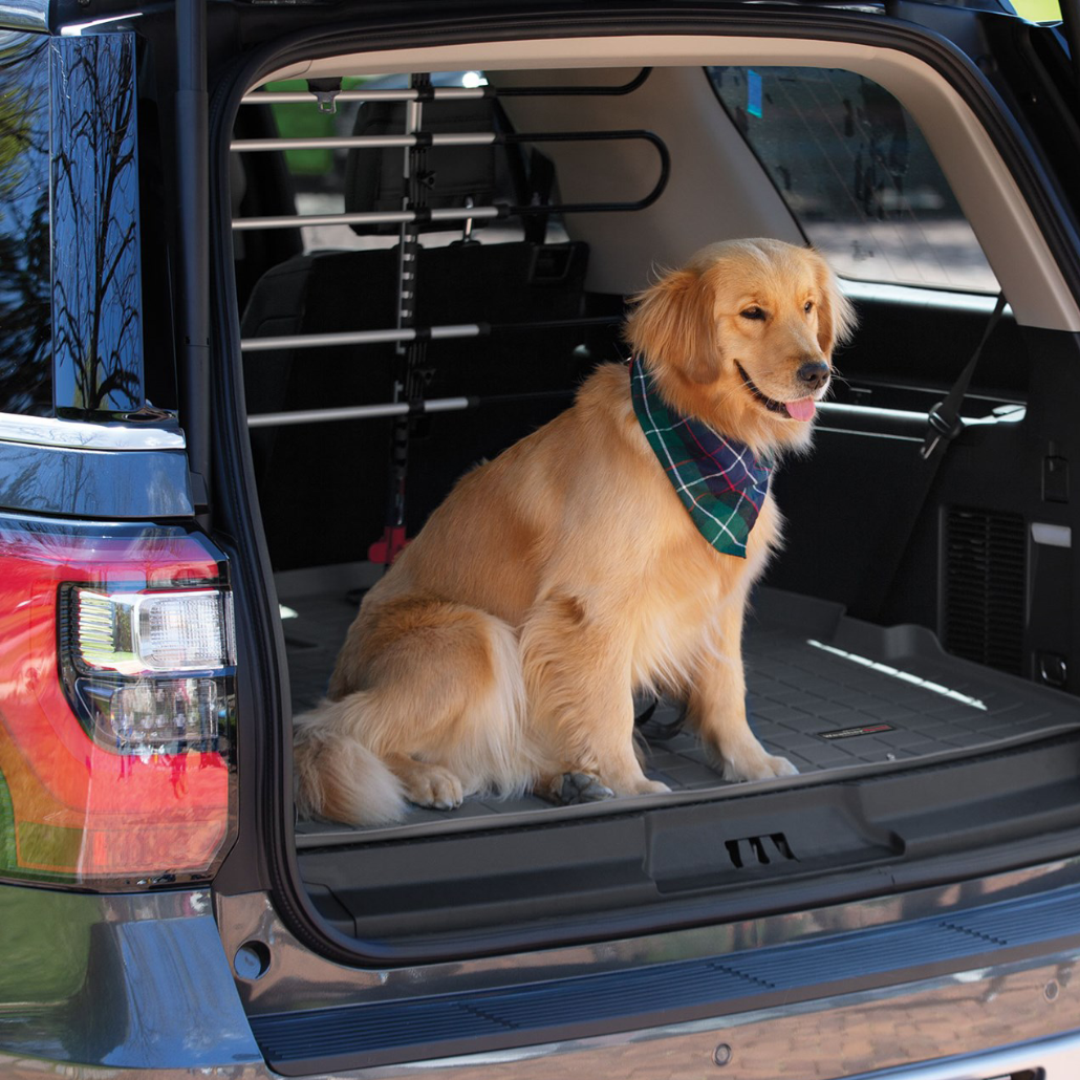 Custom made dog top barriers for cars